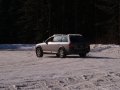 img010.jpeg.small.jpeg