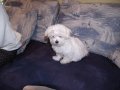 img009.jpeg.small.jpeg