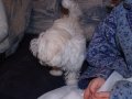 img011.jpeg.small.jpeg