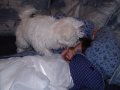 img014.jpeg.small.jpeg