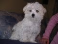 img020.jpeg.small.jpeg