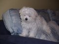 img022.jpeg.small.jpeg
