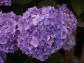 img001.jpeg.small.jpeg