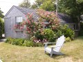 img010.jpeg.small.jpeg