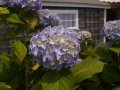 img012.jpeg.small.jpeg