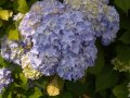 img013.jpeg.small.jpeg