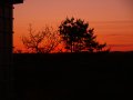 img023.jpeg.small.jpeg