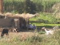 img040.jpeg.small.jpeg