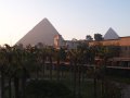 img003.jpeg.small.jpeg