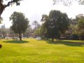 img008.jpeg.small.jpeg