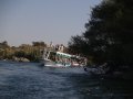 img012.jpeg.small.jpeg
