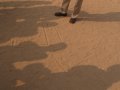img013.jpeg.small.jpeg