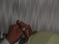img005.jpeg.small.jpeg