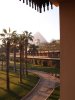 img010.jpeg.small.jpeg