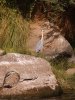 img014.jpeg.small.jpeg