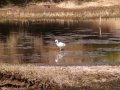 img039.jpeg.small.jpeg