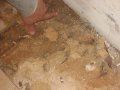 img004.jpeg.small.jpeg