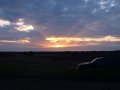 img000.jpeg.small.jpeg