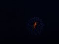 img004.jpeg.small.jpeg