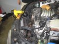 img029.jpeg.small.jpeg