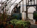 img003.jpeg.small.jpeg
