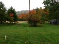 img010.jpeg.small.jpeg