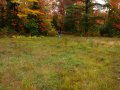 img036.jpeg.small.jpeg