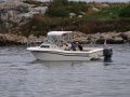 img003.jpeg.small.jpeg