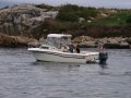 img004.jpeg.small.jpeg