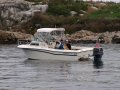 img012.jpeg.small.jpeg